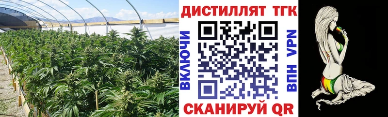 нарко площадка состав  Ардатов  Дистиллят ТГК гашишное масло 