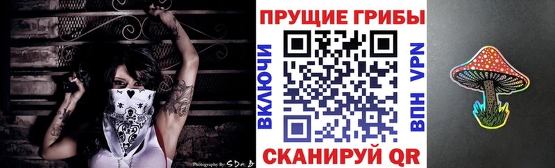 купить наркоту Ардатов Псилоцибиновые грибы Psilocybe